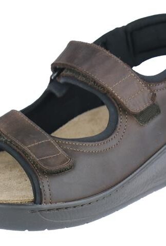 Mephisto Valden