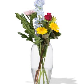 HEMA HEMA Vaas 29cm Glas (transparant)