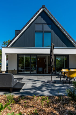 De Grauwe Kiekendief