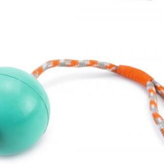 BZ RUBBER BAL NO4+KOORD MINT 30