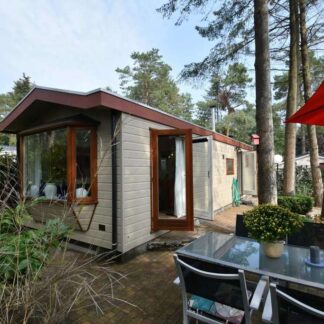 Chalet voor 4 personen op Bospark in Doornspijk
