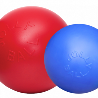 Jolly Ball Push-n-Play 25cm rood