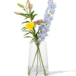 HEMA Vaas 30cm glas (transparant)
