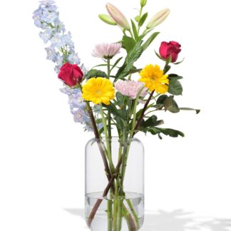 HEMA Vaas 24cm glas (transparant)