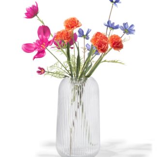 HEMA Vaas ⌀6.9x27cm glas transparant (transparant)