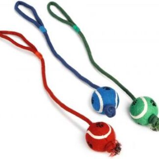 BZ TENNISBAL 6 KOORD 60