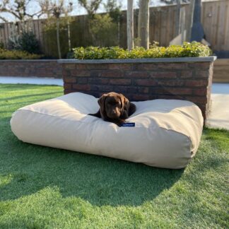 Dog's Companion® Hondenkussen beige