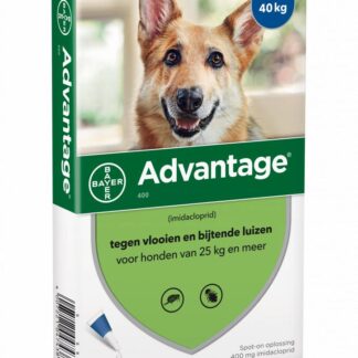 Advantage Advantage Hond