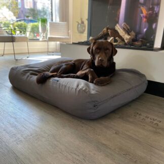 Dog's Companion® Hondenkussen muisgrijs