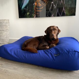 Dog's Companion® Hondenbed royal blue