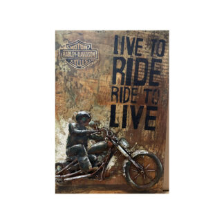 3D schilderij Gave Special Motor Ride to Live 902